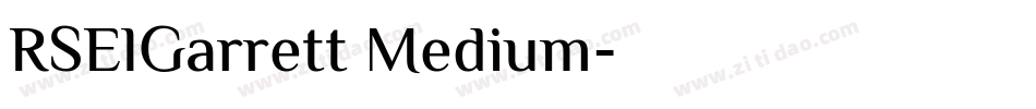 RSElGarrett Medium字体转换